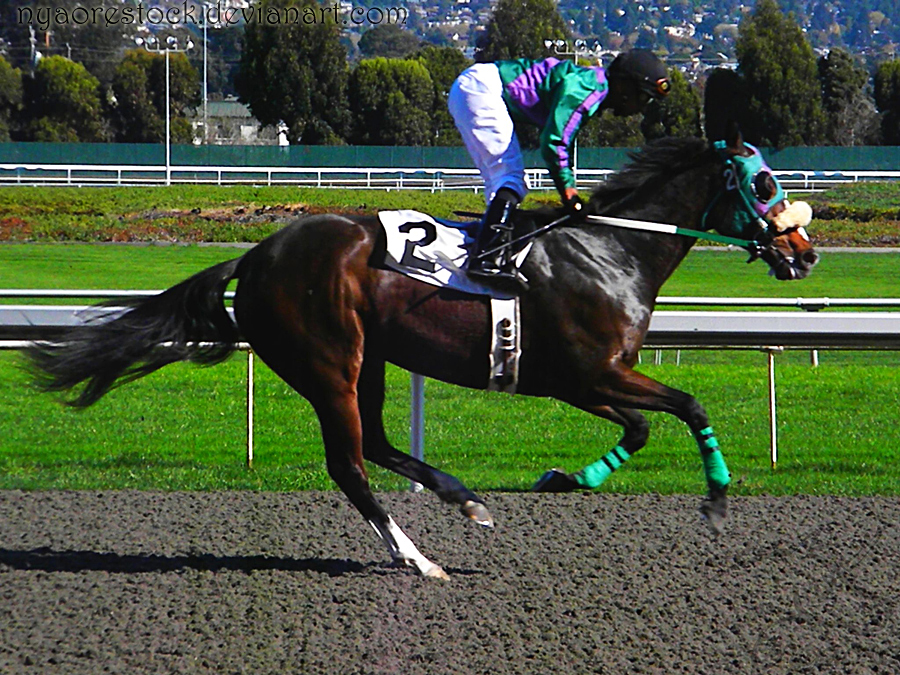 Golden Gate Fields - Racers 77