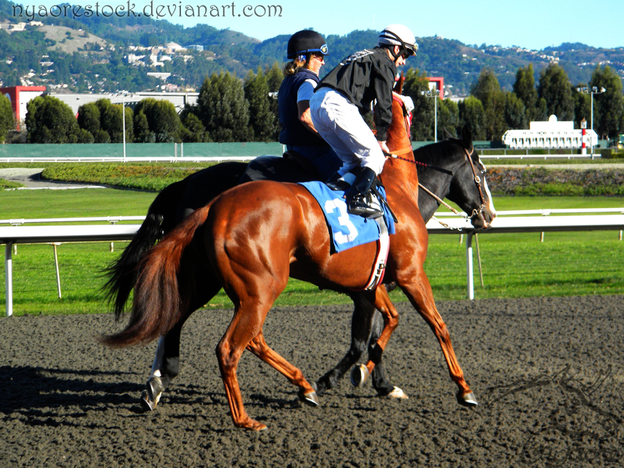 Golden Gate Fields - Racers 95