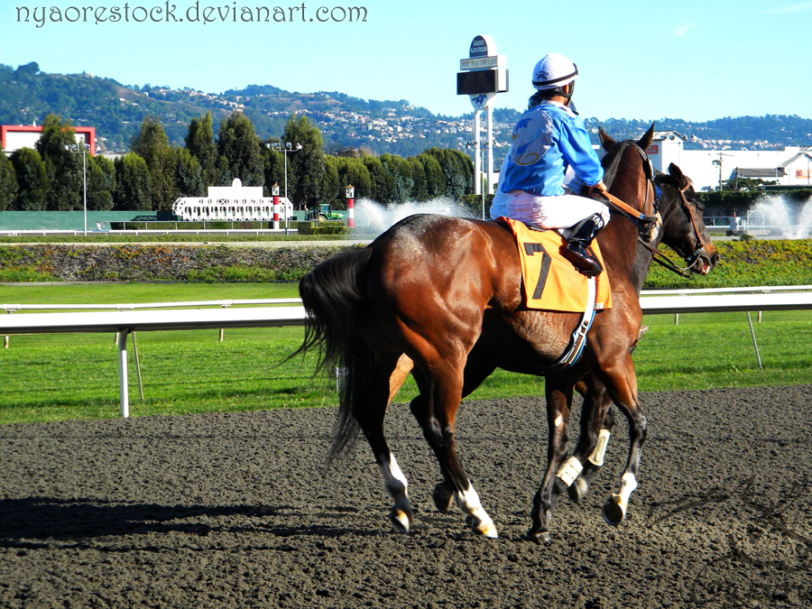 Golden Gate Fields - Racers 97