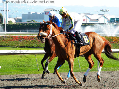 Golden Gate Fields- Racers 108