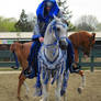 Rancho 2011 - Na. Costume 02