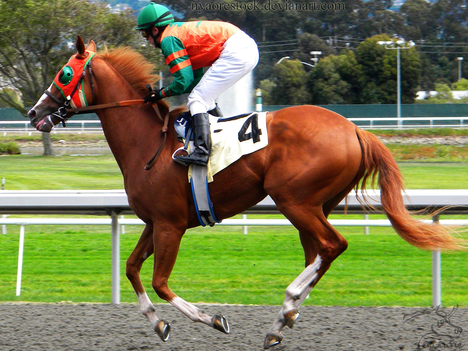 Golden Gate Fields- Racers 118