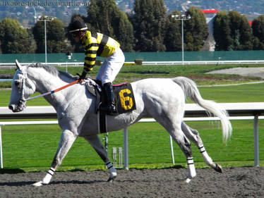 Golden Gate Fields- Racers 129