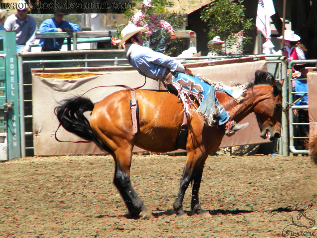 Rowell Ranch Rodeo - 12 by Nyaorestock on DeviantArt