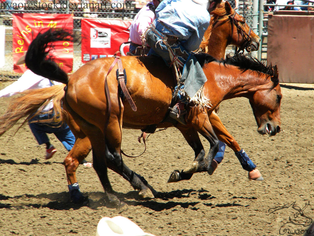 Rowell Ranch Rodeo - 13