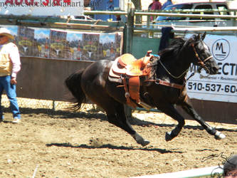 Rowell Ranch Rodeo - 14
