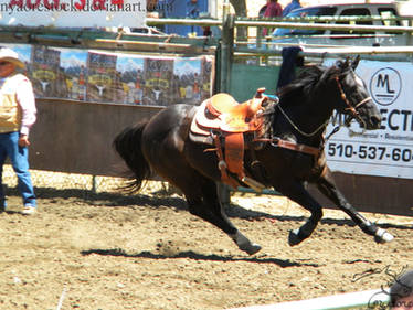 Rowell Ranch Rodeo - 14