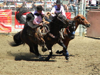 Rowell Ranch Rodeo - 15