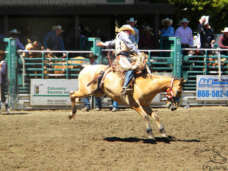 Rowell Ranch Rodeo - 17