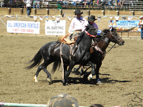 Rowell Ranch Rodeo - 20