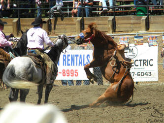 Rowell Ranch Rodeo - 21