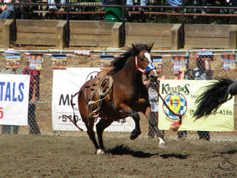 Rowell Ranch Rodeo - 23