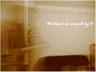 What is reality?