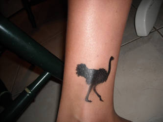 ostrich tattoo