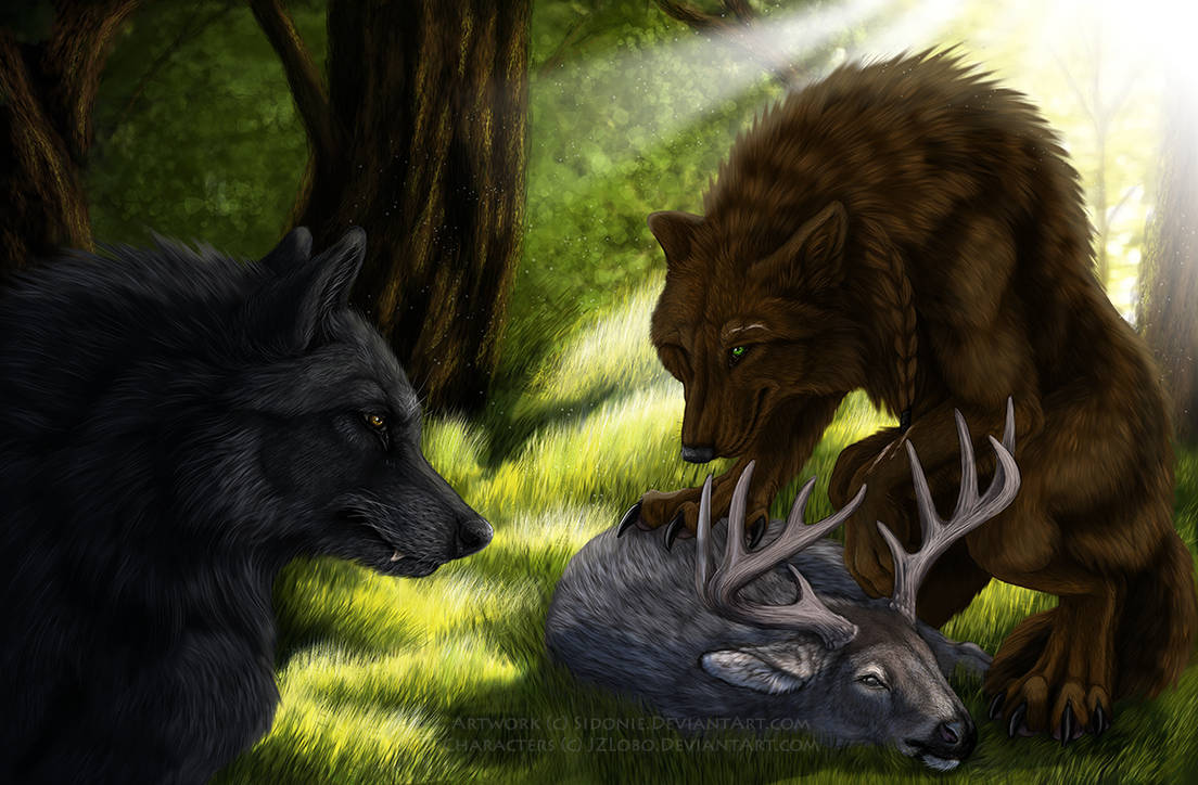 Apex Predator by Sidonie Apex Predator by Sidonie