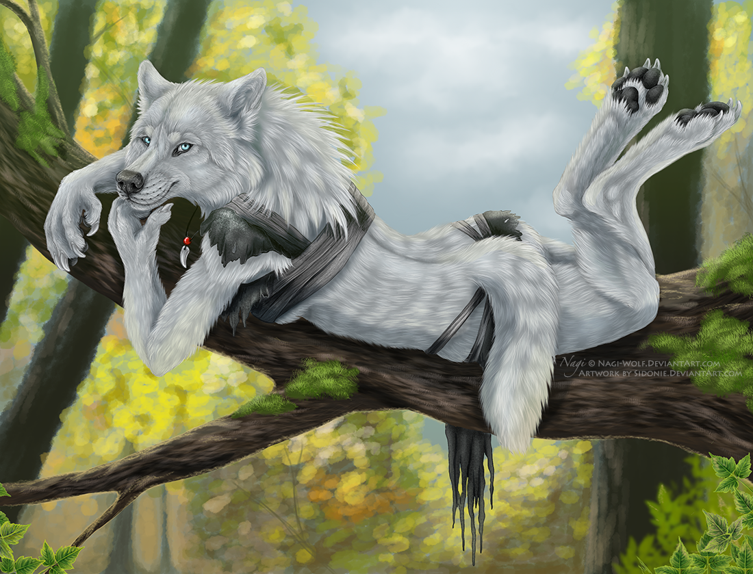 Deviantart Coy Coy by Sidonie on DeviantArt
