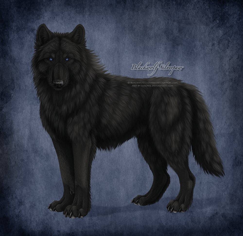 Blackwolf Silverpaw By Sidonie On Deviantart Blackwolf Silverpaw By Sidonie On Deviantart