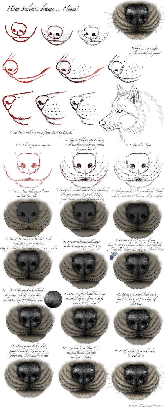 Nose Tutorial By Sidonie On Deviantart Nose Tutorial By Sidonie On Deviantart