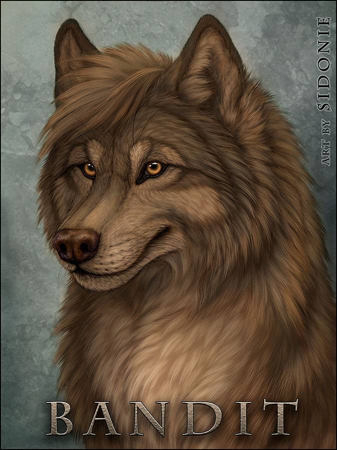 Bandit badge by Sidonie Bandit badge by Sidonie