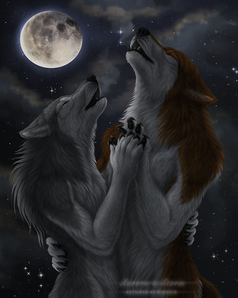 Обнимаю волка. Влюбленные волки. Волки любовь. Волк и волчица любовь. Романтичный волк.