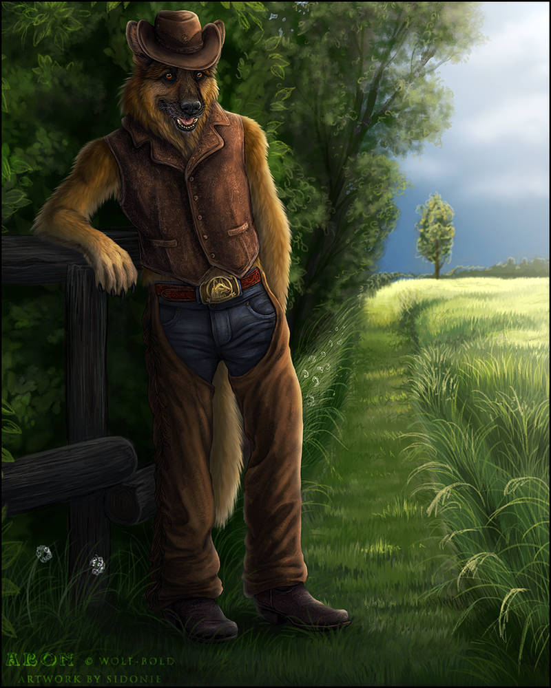 Cowboy by Sidonie on DeviantArt