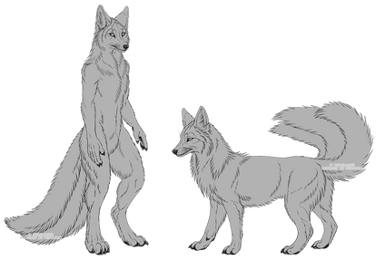 Fox Lineart Reference