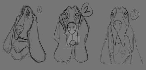 Basset Hound Head Shot Preliminary Sketches