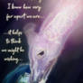 Same Bright Star