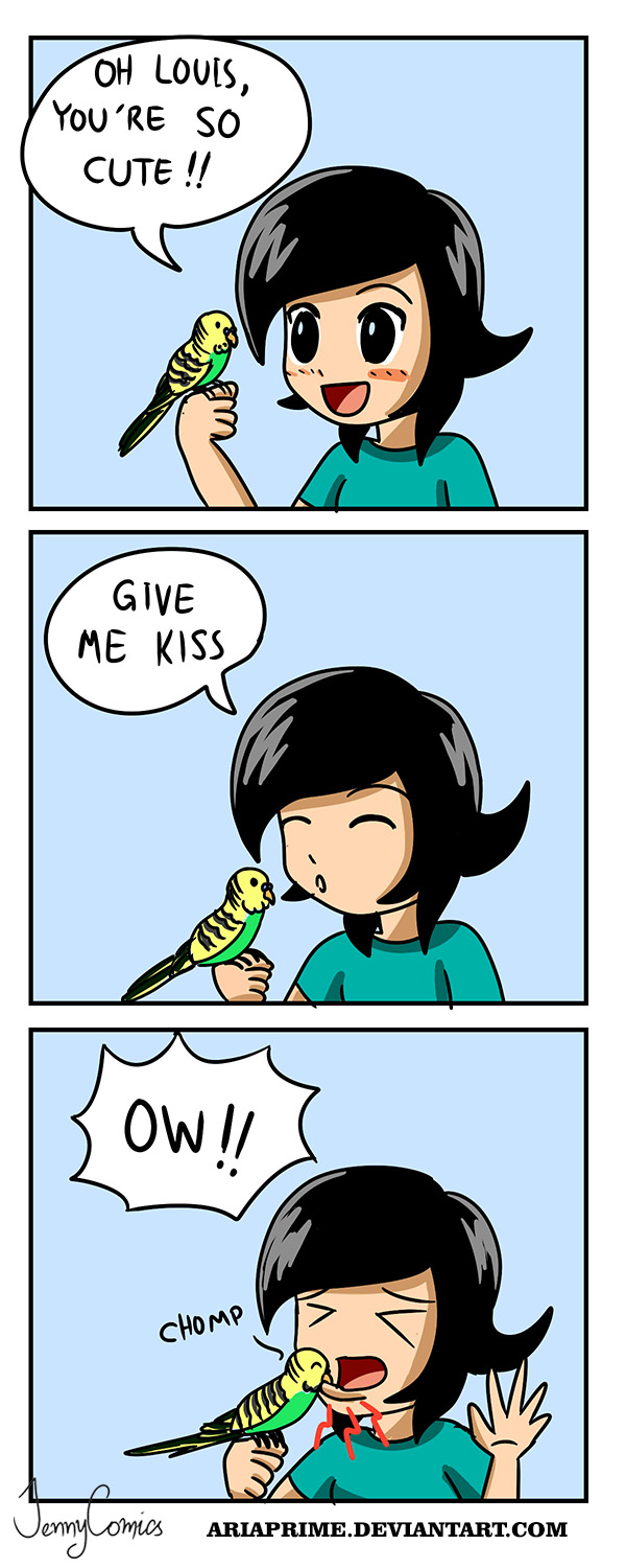 Mini Comics - Bird Love