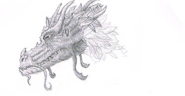 Dragon Study