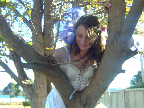 Tree Fairy