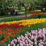 Keukenhof4