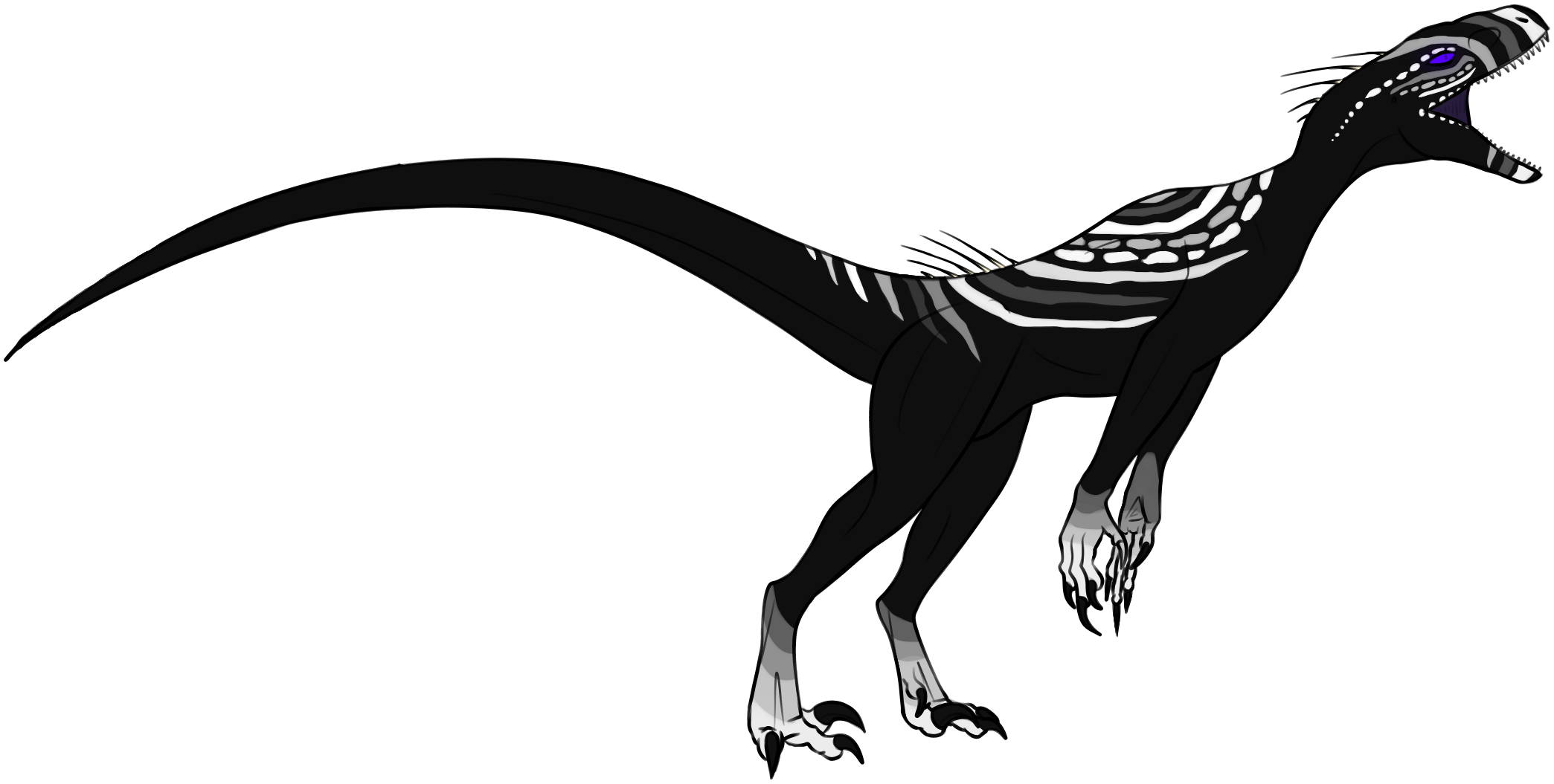 Quill Raptor Quilloraptor Adopt #4 (Closed) by xentarrii on DeviantArt
