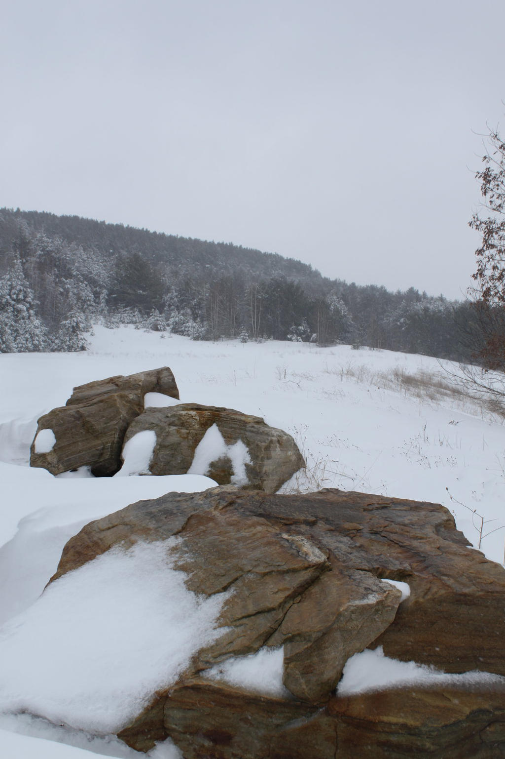 Snow Scape 4