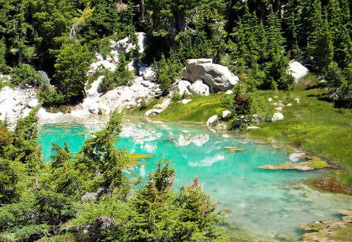 Hydrothermal Pool