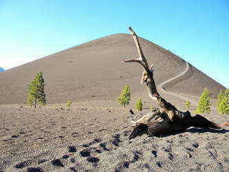 Cinder Cone