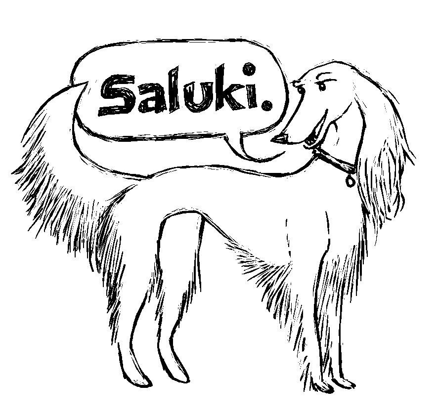 Saluki talk