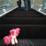 On the escalator