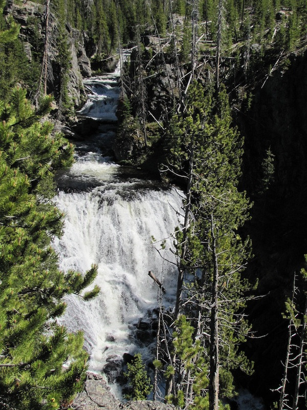 Yellowstone Waterfall