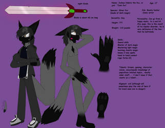 Josh fox ref sheet by DrJoshfox