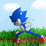 Sonic The 25 year old Hedgehog