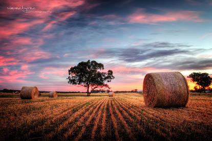 Rural Skies