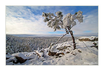 Marquette Morning Snowfall