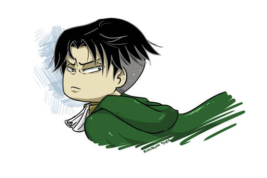 Levi Heichou