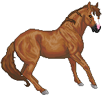 Chestnut Quarter Horse