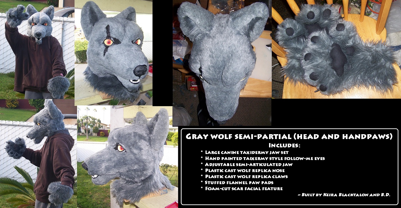 Gray Wolf Semi-Partial