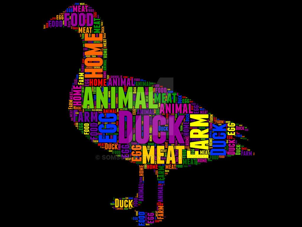 Duck 5 typography by somsongart on DeviantArt