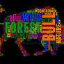 Bull 3 Typography