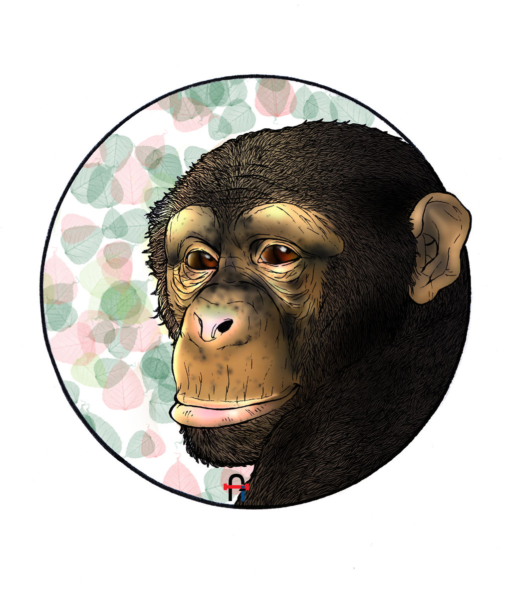 Deviantart Chimp Chimp by JasonAvenger23 on DeviantArt