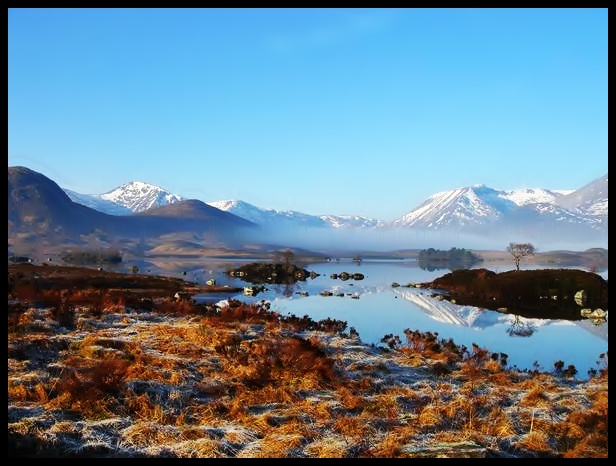 Frosty Morning